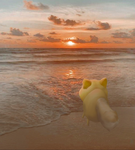 Be Your Doge
