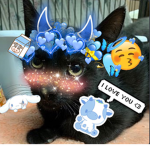 black rainbow gacha