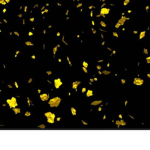Golden*flakes
