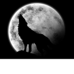Dark Moon Dark