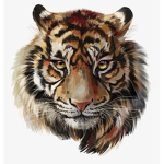 Tiger and Candy