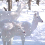 ~Winter~