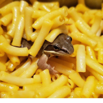 cheese frog