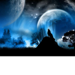 Shadow Moon Wolfs