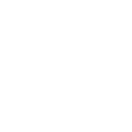 White Sparkly Fairy Wings