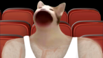 Cat family fan group