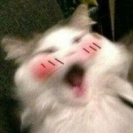 FOR THE BOISSSS SLEEPS AT NIGTH