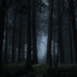 twilight co.