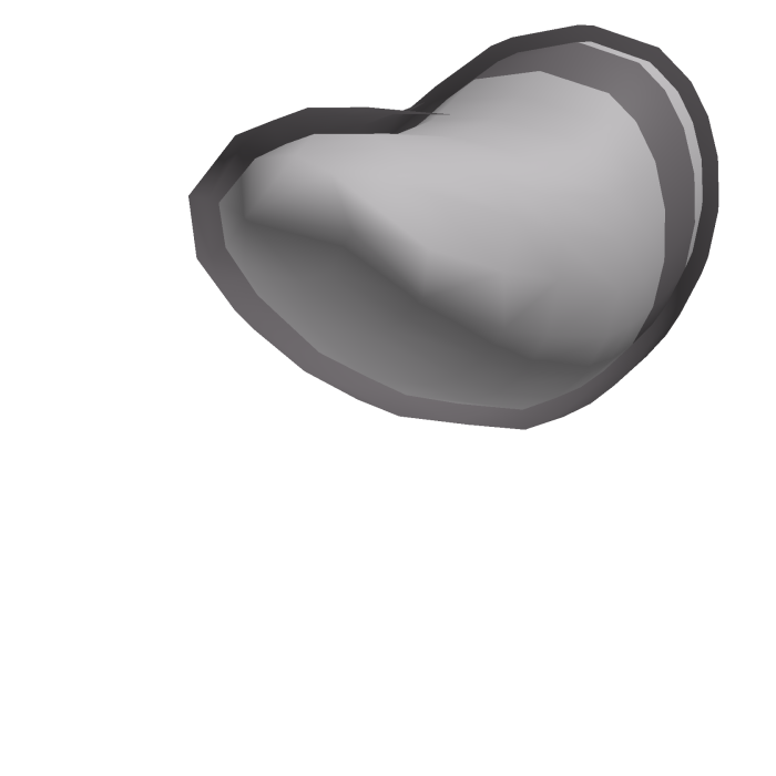 Racoon Tail Dark Grey (1/2) Animal Daycare