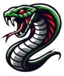 Vipers Organisation