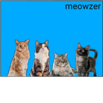 cats of meow kind