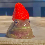 The Amphibian Society
