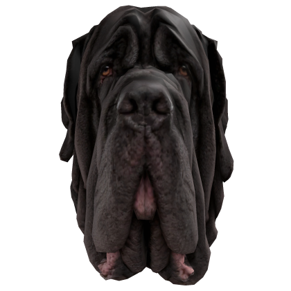 [⌛] Neapolitan Mastiff Drooped Dog Meme Head 