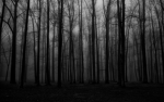 screaming forest