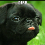 minecraft derp