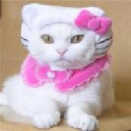 Hello Kitty cat Roblox decal