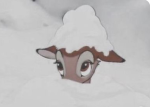 Zyraas_luvs
