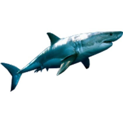 shark icon Roblox decal