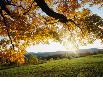 guess the song for admin