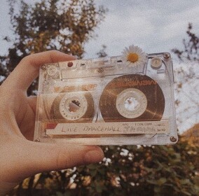 🌻 