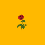 Roses for life
