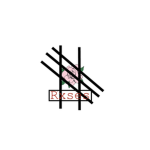 The Rxse Shop
