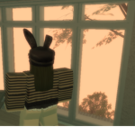 Fan Page for Roblox Youtubers