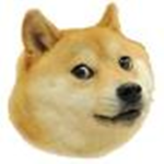 Golden Doge Alliance [NRPG]