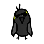Cool Bird