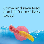 Fred the gummy worm