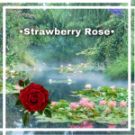•Strawberry Rose•