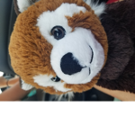 Slothss United