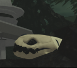 AVPC Wildlife