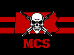 Metropolitan Cartel Syndicate