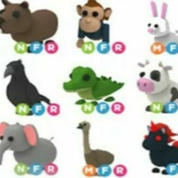 Pets Adopt Me!