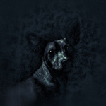 nathan_hoi