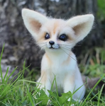 Nice Fox Group