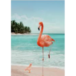Sunshine Vibing Group