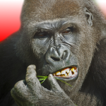 Flying Gorilla Obby