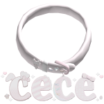 cece・ɞ・˚