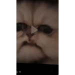 chips are hot