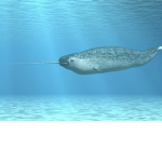 King furry gold and gemsgemsdo love Narwhals