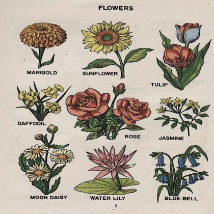 Vintage flowers poster Roblox decal