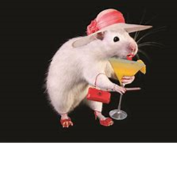 Rats Homestore!