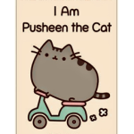 LovelyKittyCats