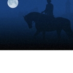 Nights United