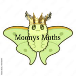 MOONY MOTH CULT