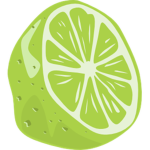 Salt n Lime Studios