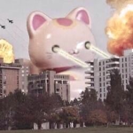 Pet Army S & D