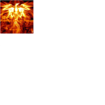 Phoenix United Forces [P.U.F.]